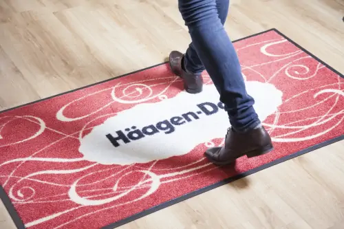 Carpet doormat, Interior Guard Brush floor mat